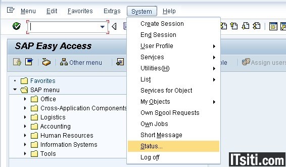 Find SAP System Status & Kernel Information