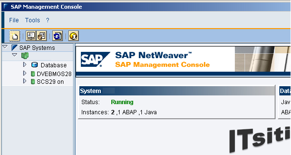 SAP Management Console (SAP MC)